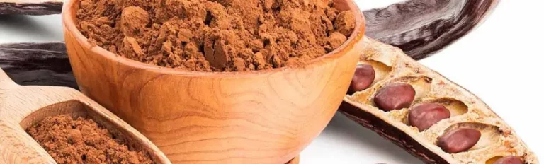 polvo obtenido del fruto del algarrobo